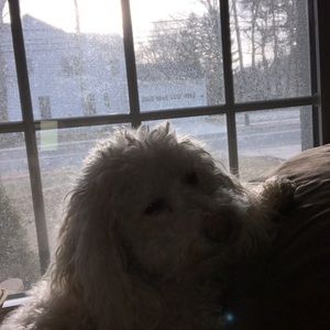 Meet your Posher, Tyler